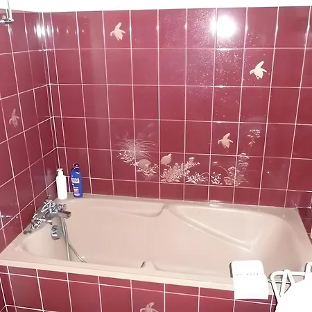 Holiday home La Grange De L'effraie Beauzac